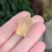 Indlæs billede til gallerivisning Libysk glas