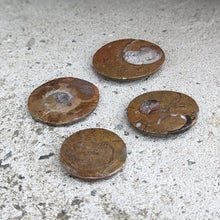 Indlæs billede til gallerivisning Ammonitter til lommen
