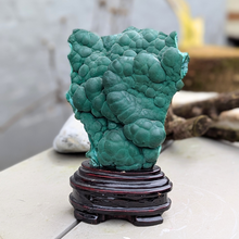 Load image into Gallery viewer, Malakit i træfod