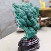 Load image into Gallery viewer, Malakit i træfod