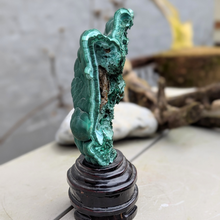 Load image into Gallery viewer, Malakit i træfod