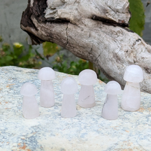 Load image into Gallery viewer, Mangano calcit svampe