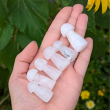 Load image into Gallery viewer, Mangano calcit svampe