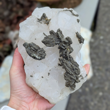 Load image into Gallery viewer, Marcasit på kvarts