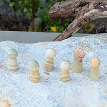 Load image into Gallery viewer, Onyx svampe