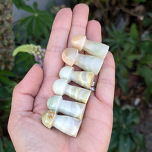 Load image into Gallery viewer, Onyx svampe