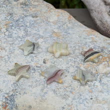 Load image into Gallery viewer, Onyx stjerner