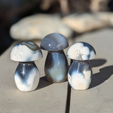 Indlæs billede til gallerivisning Orca agat svampe