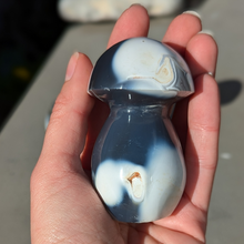 Indlæs billede til gallerivisning Orca agat svampe