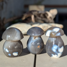 Indlæs billede til gallerivisning Orca agat svampe