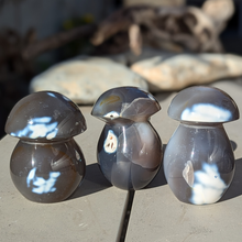 Indlæs billede til gallerivisning Orca agat svampe