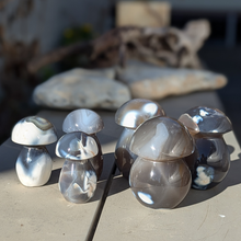 Indlæs billede til gallerivisning Orca agat svampe