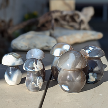 Indlæs billede til gallerivisning Orca agat svampe