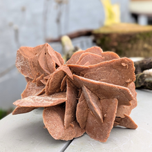 Load image into Gallery viewer, Stor ørkenrose