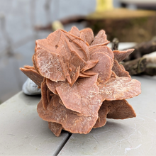 Load image into Gallery viewer, Stor ørkenrose