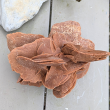 Load image into Gallery viewer, Stor ørkenrose