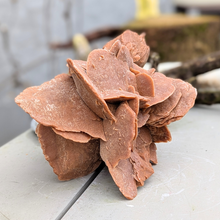 Load image into Gallery viewer, Stor ørkenrose