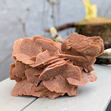 Load image into Gallery viewer, Stor ørkenrose