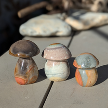 Load image into Gallery viewer, Polychrome jaspis svampe