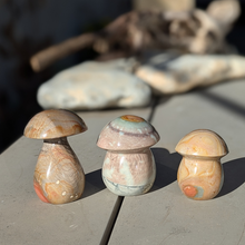 Load image into Gallery viewer, Polychrome jaspis svampe