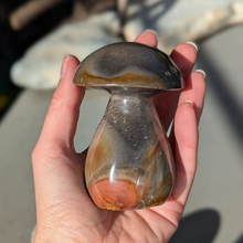 Load image into Gallery viewer, Polychrome jaspis svampe
