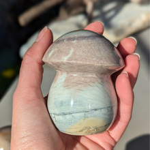 Load image into Gallery viewer, Polychrome jaspis svampe