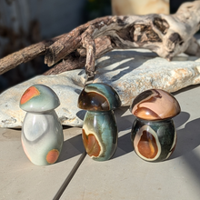 Load image into Gallery viewer, Polychrome jaspis svampe