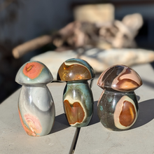 Load image into Gallery viewer, Polychrome jaspis svampe