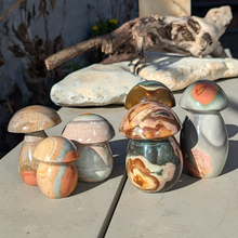 Load image into Gallery viewer, Polychrome jaspis svampe