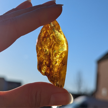 Indlæs billede til gallerivisning Rav