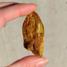 Indlæs billede til gallerivisning Rav