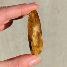 Indlæs billede til gallerivisning Rav