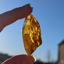 Indlæs billede til gallerivisning Rav