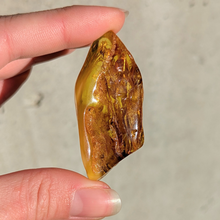 Indlæs billede til gallerivisning Rav