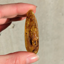 Indlæs billede til gallerivisning Rav