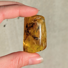 Indlæs billede til gallerivisning Rav