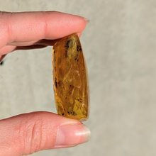 Indlæs billede til gallerivisning Rav