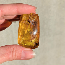 Indlæs billede til gallerivisning Rav