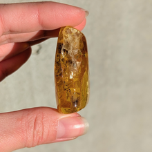 Indlæs billede til gallerivisning Rav