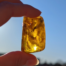 Indlæs billede til gallerivisning Rav