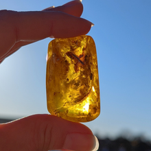 Indlæs billede til gallerivisning Rav