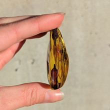 Indlæs billede til gallerivisning Rav