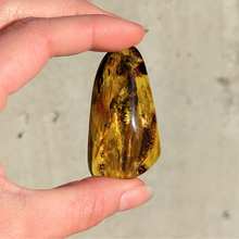 Indlæs billede til gallerivisning Rav