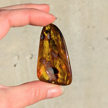 Indlæs billede til gallerivisning Rav