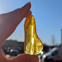 Indlæs billede til gallerivisning Rav