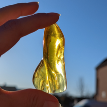 Indlæs billede til gallerivisning Rav