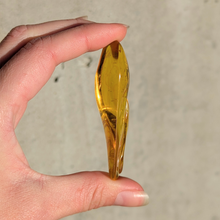 Indlæs billede til gallerivisning Rav