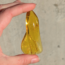 Indlæs billede til gallerivisning Rav