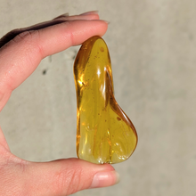 Indlæs billede til gallerivisning Rav