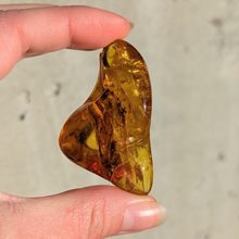 Indlæs billede til gallerivisning Rav